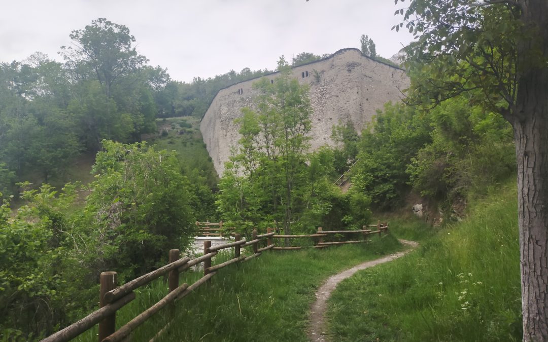 Su un rivolo d’acqua