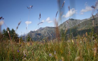 Preistoria ad alta quota